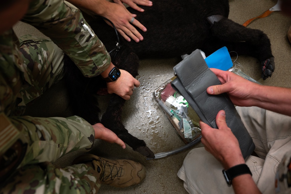 MWD handlers hone emergency care skills