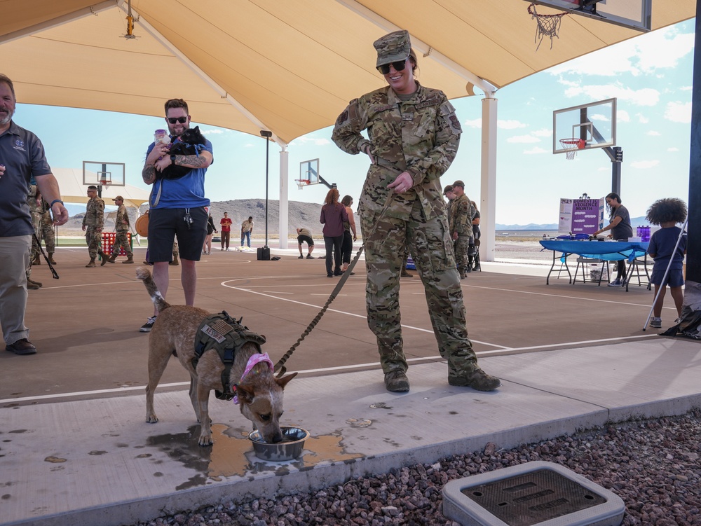 Paws Against Domestic Violence 2024 at Creech Air Force Base
