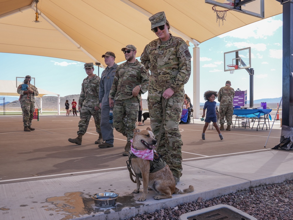 Paws Against Domestic Violence 2024 at Creech Air Force Base