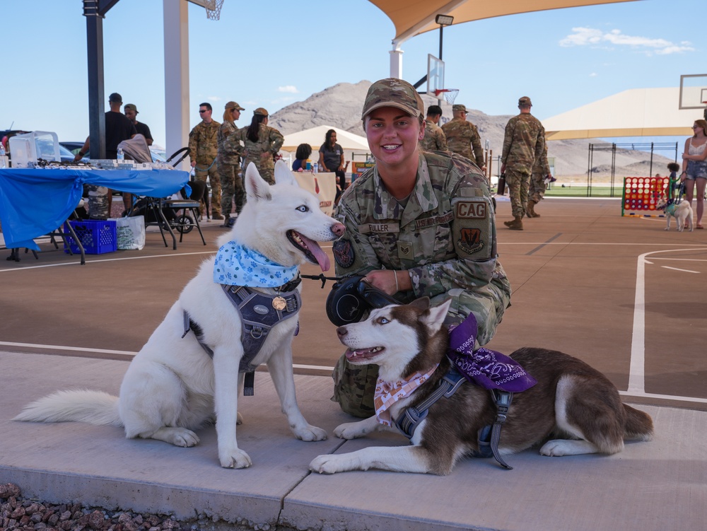 Paws Against Domestic Violence 2024 at Creech Air Force Base