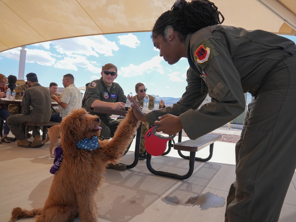 Paws Against Domestic Violence 2024 at Creech Air Force Base