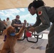 Paws Against Domestic Violence 2024 at Creech Air Force Base