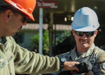 Tennessee Army National Guardsmen clear debris on Denton Road in Cocke County, Tennessee