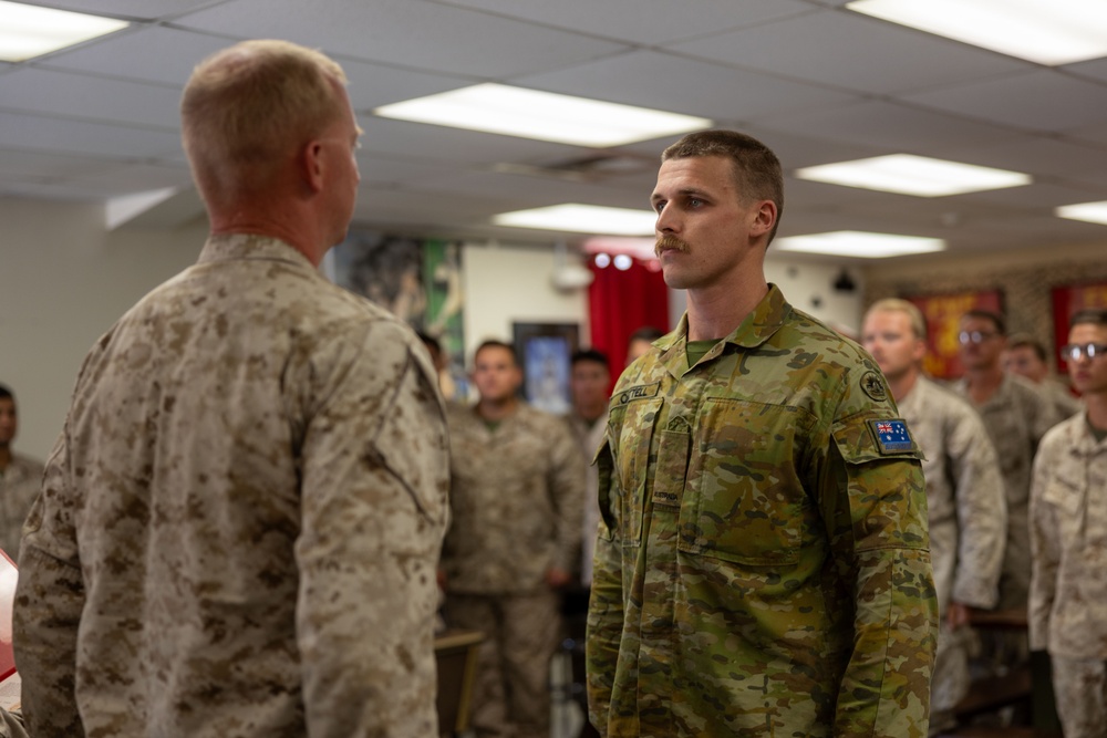 Light armored reconnaissance units from across the Corps compete in 2024 Bushmaster challenge