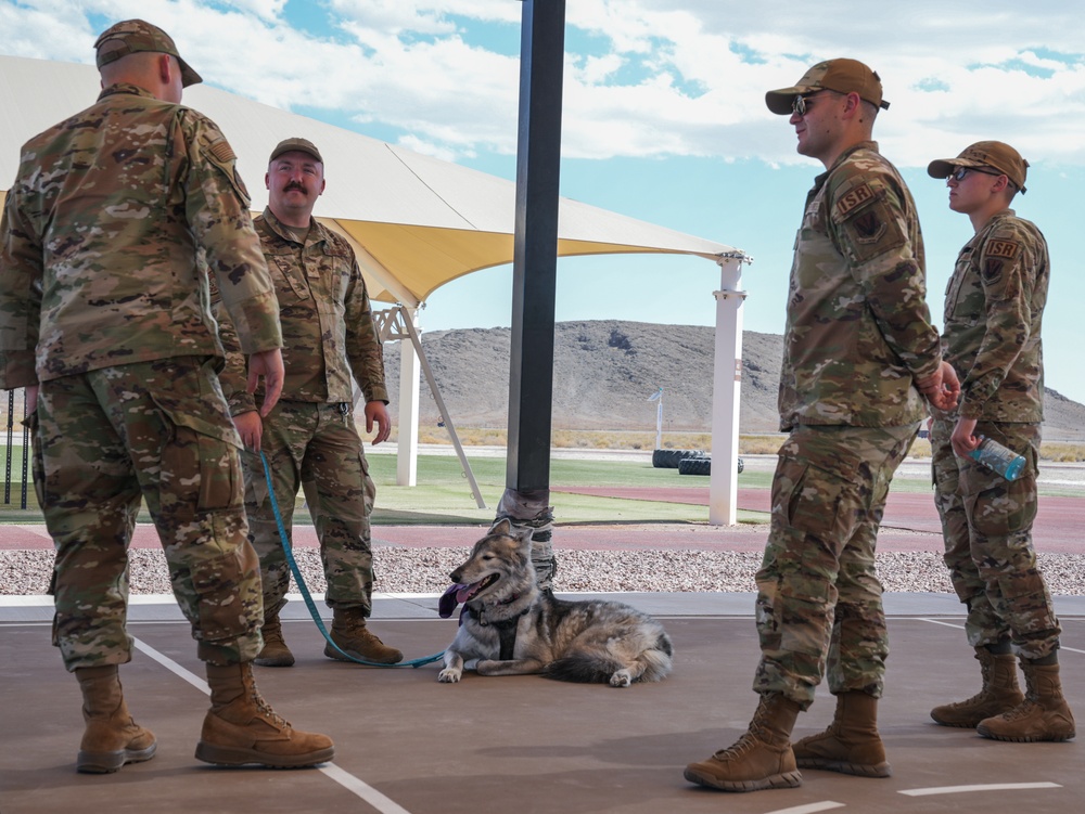 Paws Against Domestic Violence 2024 at Creech Air Force Base