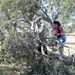 MacDill Dorm Residents and Volunteers cleanup park after Hurricane Milton