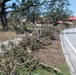 MacDill Dorm Residents and Volunteers cleanup park after Hurricane Milton