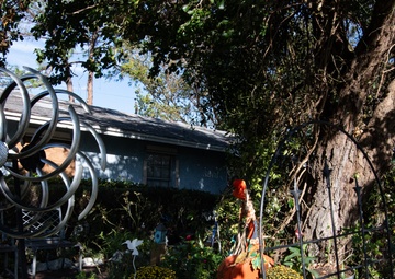 OPERATION BLUE ROOF MILTON 24