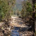 Hurricane Helene Damage in Linville, North Carolina