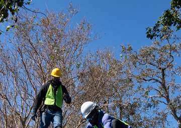 OPERATION BLUE ROOF MILTON 24