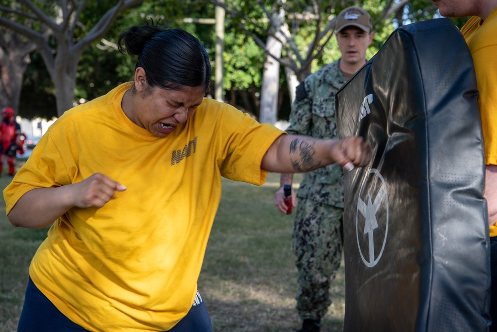 USS Ronald Reagan (CVN 76) Sailors conduct security training