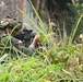 KAMANDAG 8: Philippine, 15th MEU Marines Complete Amphibious Assault at Apurawan