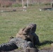 Marines at Fort Indiantown Gap