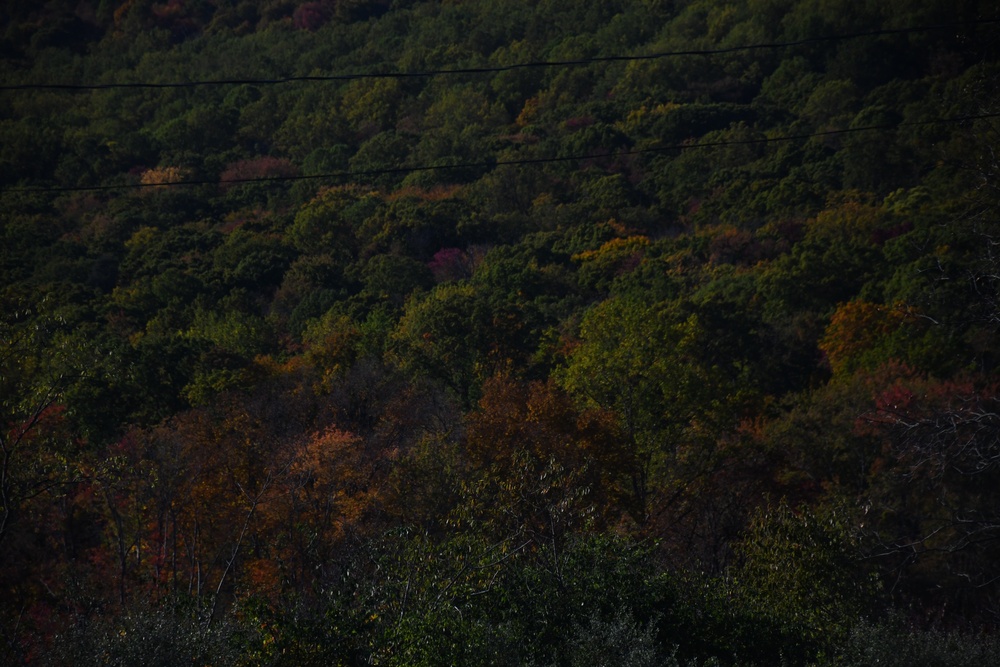 Changing Seasons
