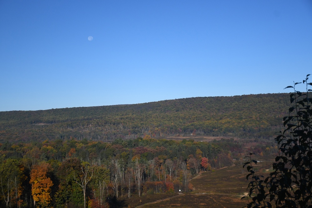 Changing Seasons