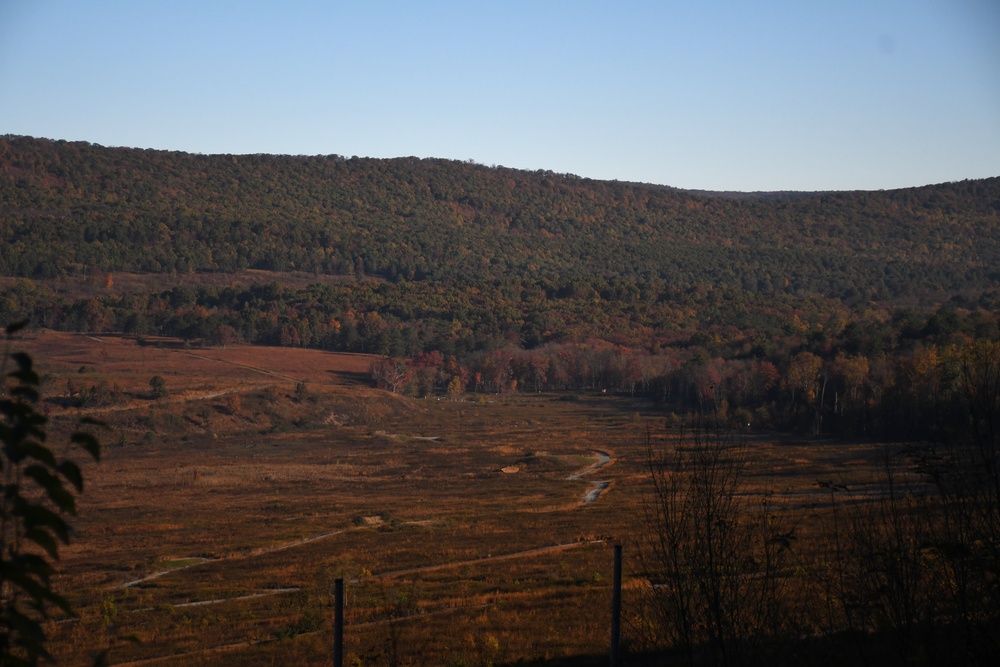 Changing Seasons