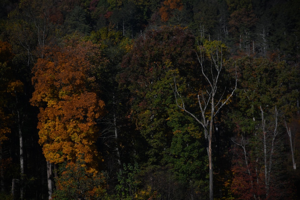Changing Seasons