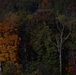 Changing Seasons