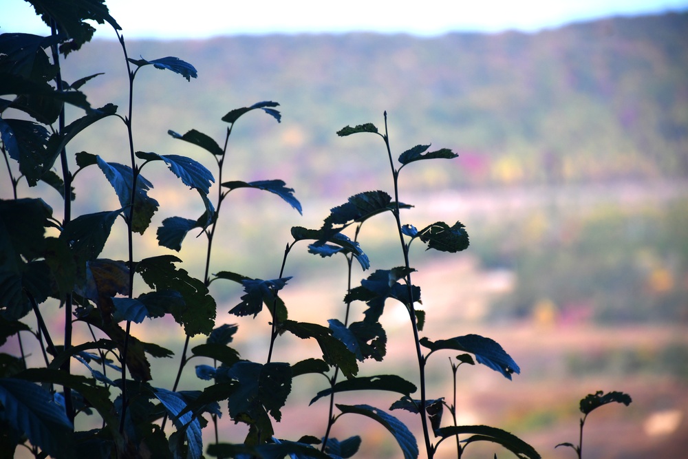 Changing Seasons