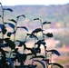 Changing Seasons