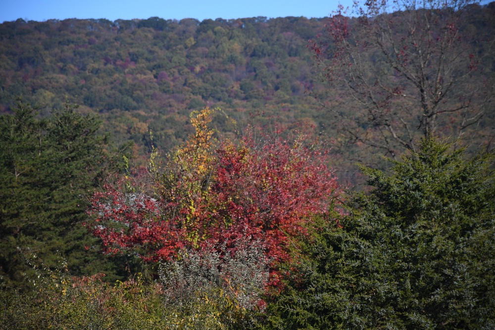 Changing Seasons
