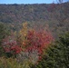 Changing Seasons