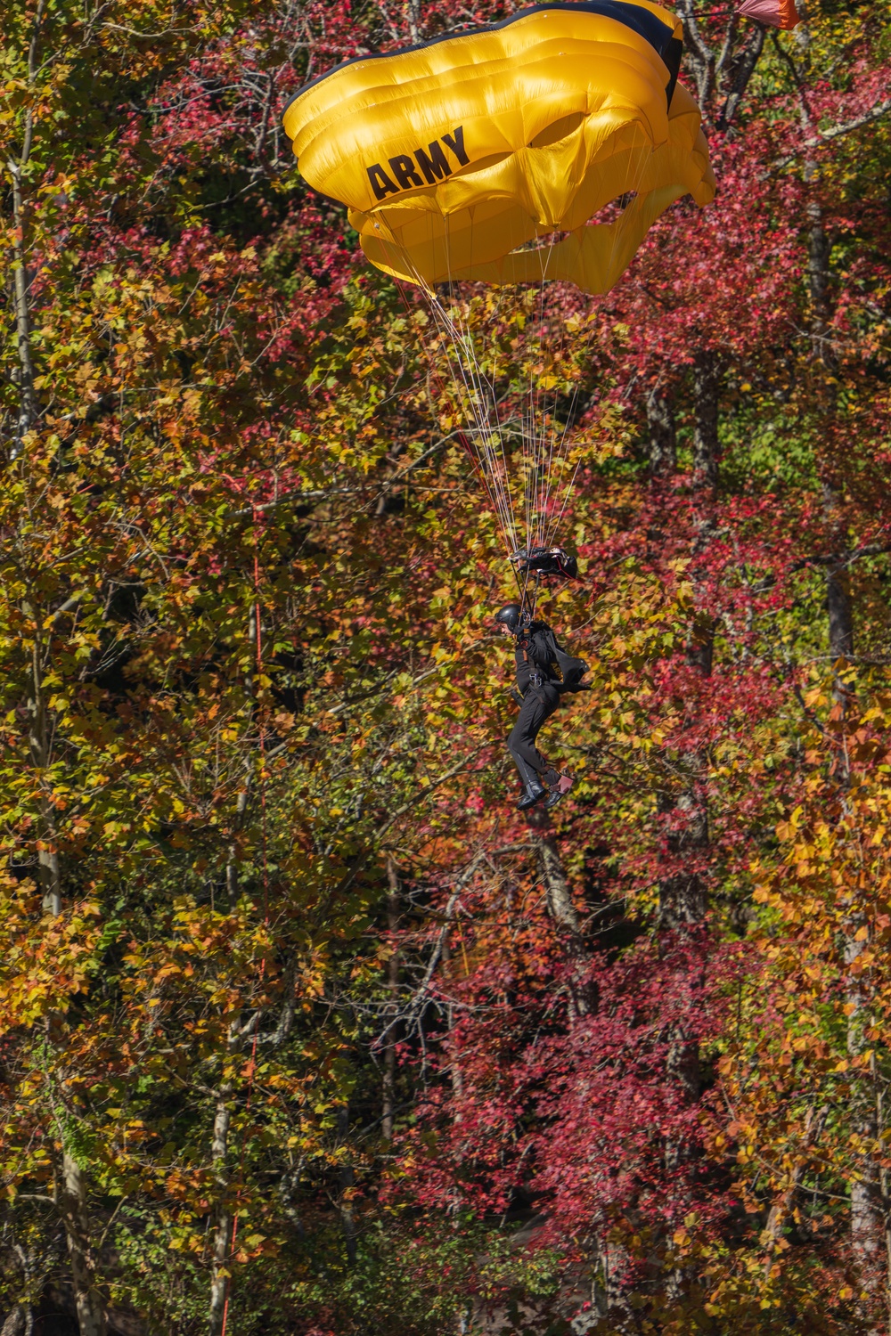 U.S. Army Golden Knights parachute into Bridge Day