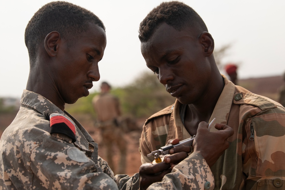 SFAB builds partner capacity at Ali Oune, Djibouti