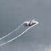 F-35 Demo Team performs at Jacksonville