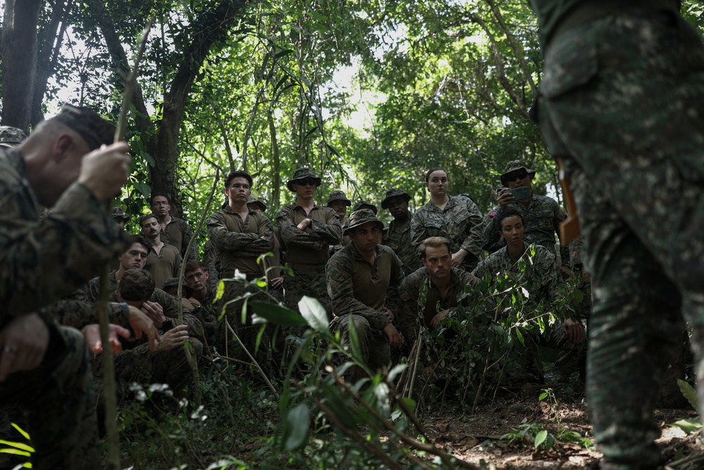 KAMANDAG 8: MRF-SEA Marines participate in jungle environmental survival training