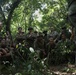 KAMANDAG 8: MRF-SEA Marines participate in jungle environmental survival training