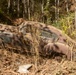 Damage From Hurricane Helene In Marion, North Carolina