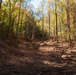 Damage From Hurricane Helene In Marion, North Carolina