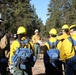 Washington National Guard service members participate in wildfire training