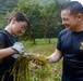 Sailors Harvest Rice In Yokosuka, Japan