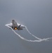 F-35 Demo Team performs at Jacksonville