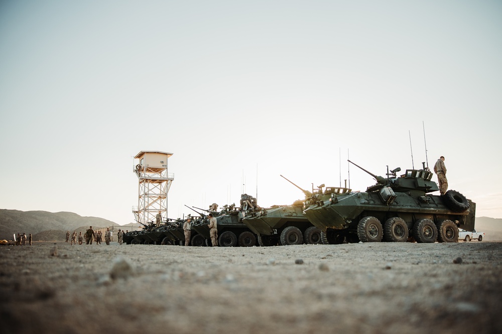 Light armored reconnaissance units from across the Corps compete in the 2024 Bushmaster Challenge