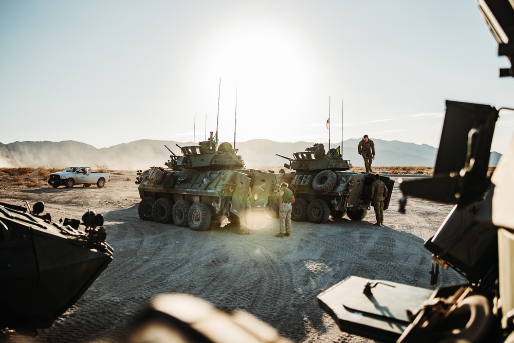 Light armored reconnaissance units from across the Corps compete in the 2024 Bushmaster Challenge