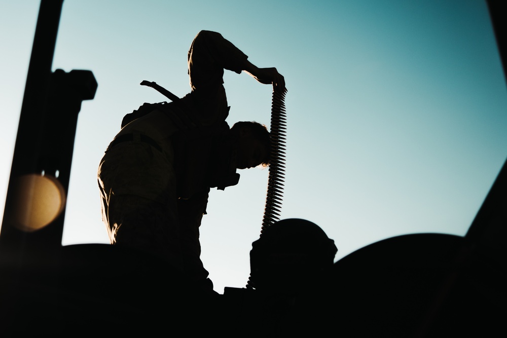 Light armored reconnaissance units from across the Corps compete in the 2024 Bushmaster Challenge