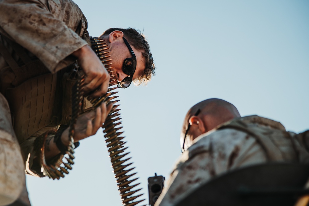 Light armored reconnaissance units from across the Corps compete in the 2024 Bushmaster Challenge