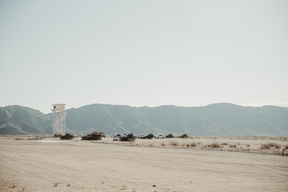 Light armored reconnaissance units from across the Corps compete in the 2024 Bushmaster Challenge