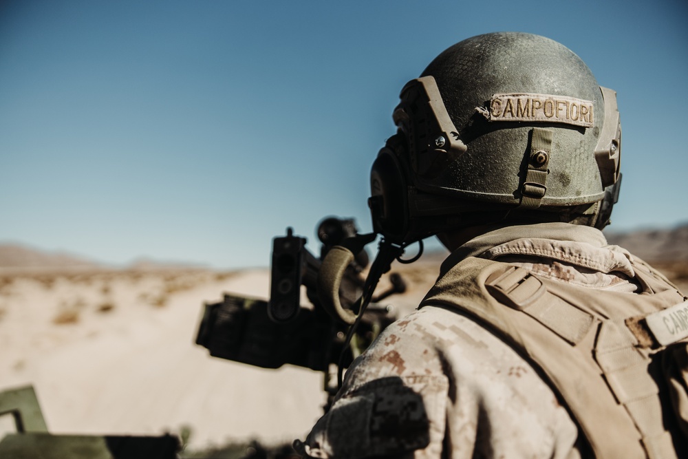 Light armored reconnaissance units from across the Corps compete in the 2024 Bushmaster Challenge