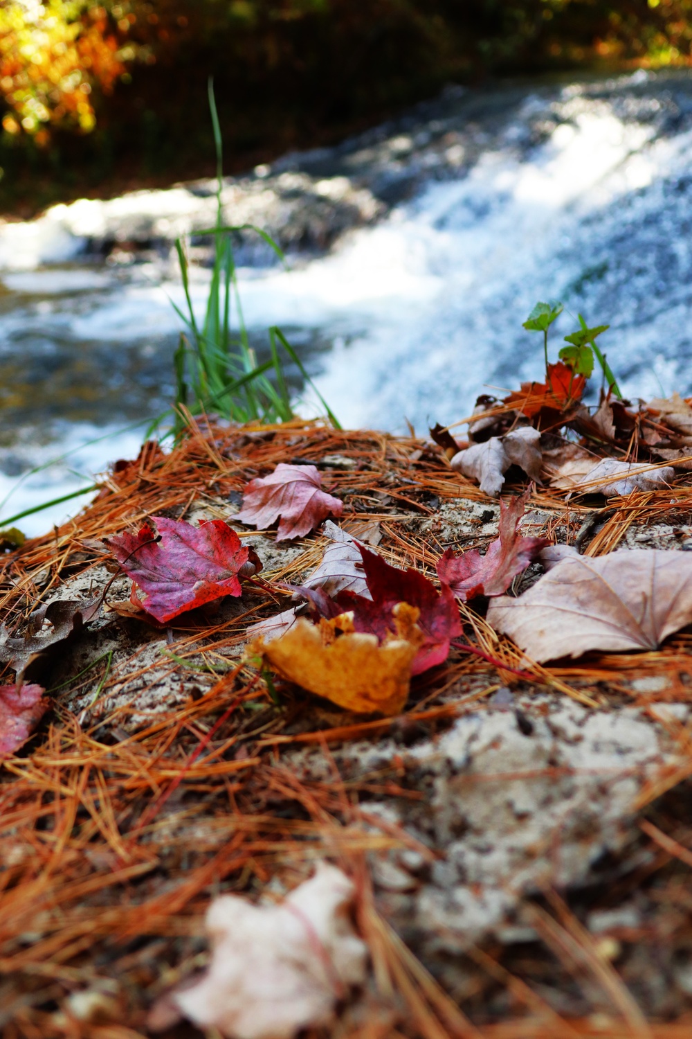 Fort McCoy's Trout Falls in Pine View Recreation Area