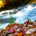 Fort McCoy's Trout Falls in Pine View Recreation Area