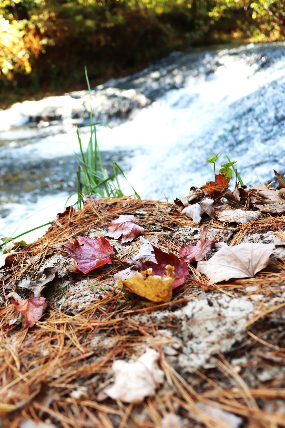 Fort McCoy's Trout Falls in Pine View Recreation Area