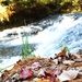 Fort McCoy's Trout Falls in Pine View Recreation Area