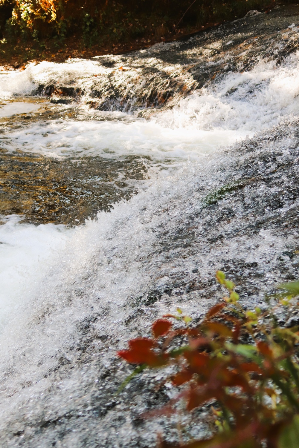 Fort McCoy's Trout Falls in Pine View Recreation Area