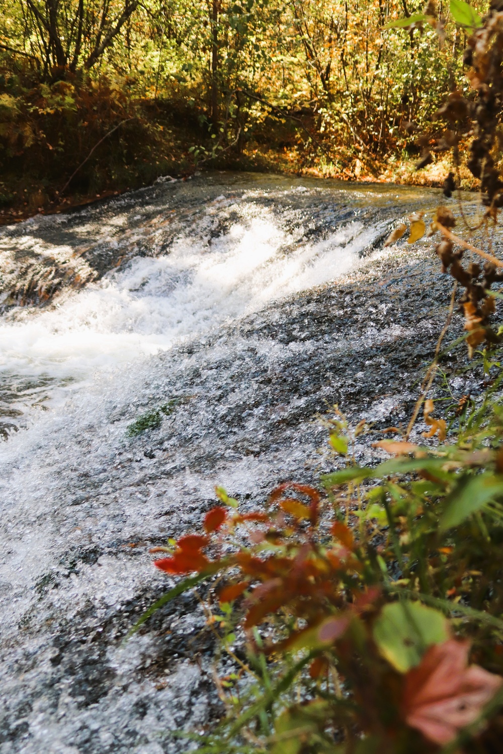 Fort McCoy's Trout Falls in Pine View Recreation Area