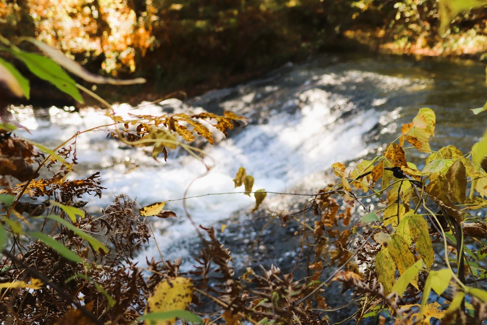 Fort McCoy's Trout Falls in Pine View Recreation Area