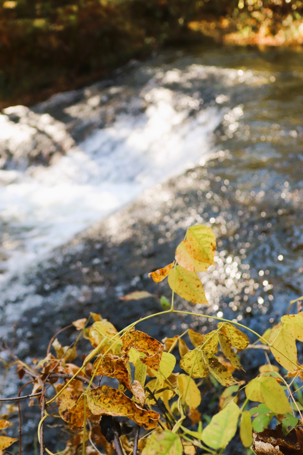 Fort McCoy's Trout Falls in Pine View Recreation Area